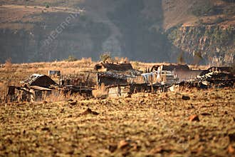 Rural Africa