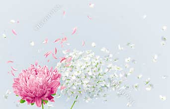 Summer wind vector floral drawing