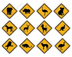 Wildlife road signs. Animal traffic sign.