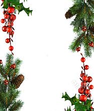 Border from Christmas branches
