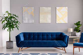 A dark blue velvet couch in front of a gray wall with graphic paintings in a modern living room interior. Real photo.