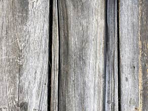 Old wood texture damaged by rain and sun