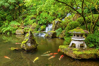 Portland Japanese Garden pond with koi fish