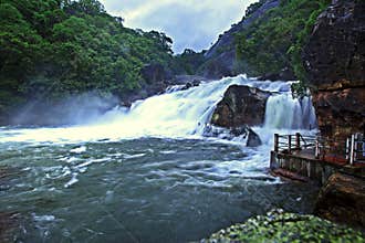 On a rainy day manimuthar water falls with heavy floods