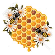 Floral Honey Concept