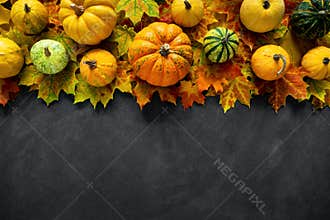 Fall dark stone background with autumn leaves and little pumpkins, top view and copy space