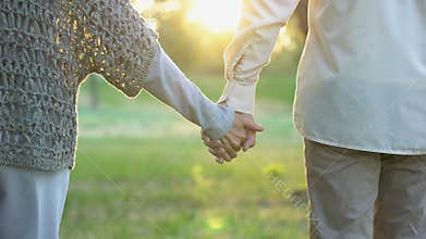 Old couple holding hands and walking in park, romantic date, love and trust