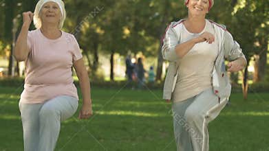 Active retired women doing morning gymnastics in park, warming up exercises