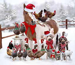 Farm animals and pets standing together dressed for Christmas