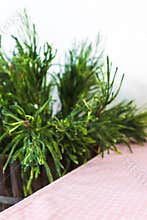 Kitchen table backdrops. Restaurant background with decoration