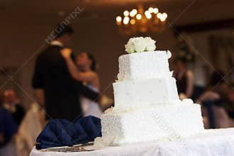 Bride and Groom with wedding Cake