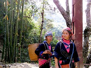 Vietnam women, Sa pa province