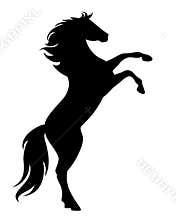 Rearing up black mustang horse vector silhouette
