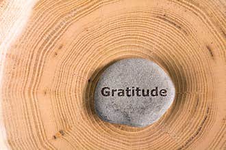 Gratitude in stone on tree
