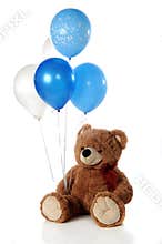 Wecoming Boy Bear