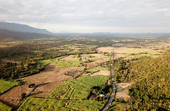 Aerial view of Agricultural plots