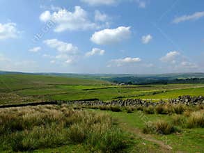 Scenic view of a path on the edge of moorland in calderdale west yorkshire with rough tussock grass with dry stone walls