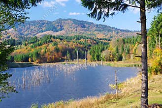 Seasonal landscape - autumn