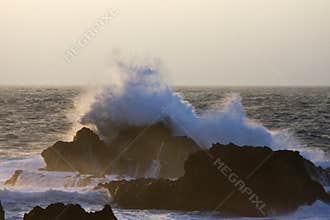 Branding rotskust, Azoren; Surf at rocky coast, Azores