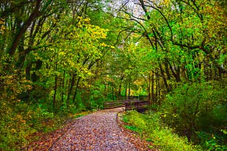 Swamp Rabbit Trail in Greenville South Carolina SC
