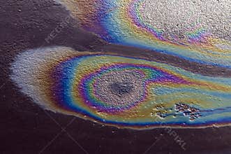 Iridescent spot of gasoline on the pavement