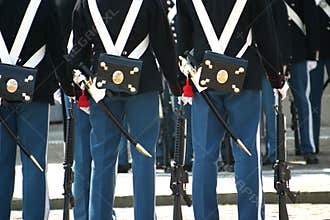 Ceremonial guard (close-up)