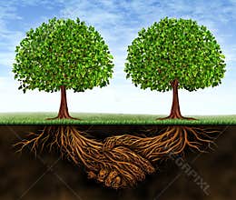 Business Teamwork Growth