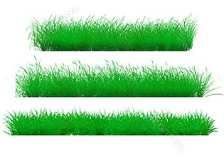 Sample grass texture