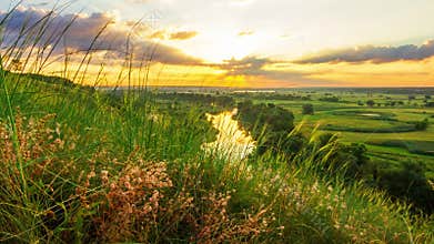 Beautiful sunny sunset or sunrise countryside landscape. Clouds of small insects flying over green wild meadow grass
