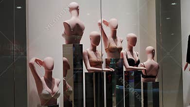 Female lingerie modern luxury shop of underwear mannequins standing pedestal
