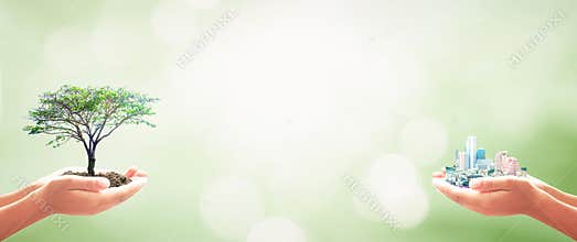 Sustainable Development Concept Showing Hands Balancing Green Tree and Modern Cityscape on Bokeh Background