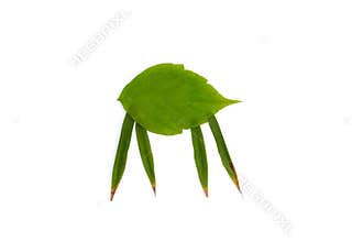 leaf animals clip art, DIY, fall or summer activity for kids