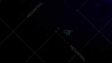 Scorpions found in the deserts at night using a UV powered light. The reflected fluorescence can be seen on the ground