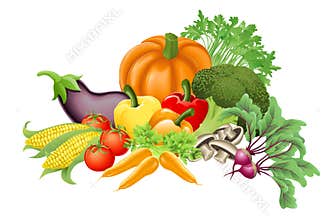 Tasty vegetables illustration