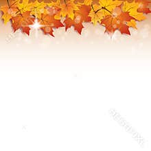 Fall vector background