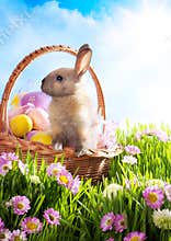 Easter basket decorated eggs and Easter bunny
