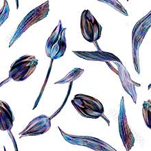 Amazing seamless pattern with blue Tulips flowers isolated on white.