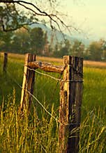 Smoky Mountains Cades Cove