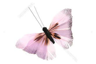Pink Butterfly