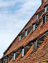 Detail of the Large Mill of Gdansk