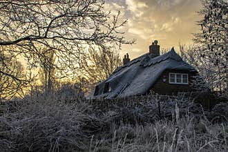 Winter scene on an early January morning with trees, bushes and grass covered in frost.