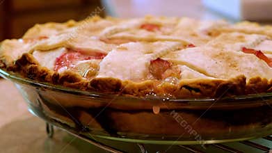 Hot and bubbling Rhubarb Custard Pie in glass pan, just out of the oven.