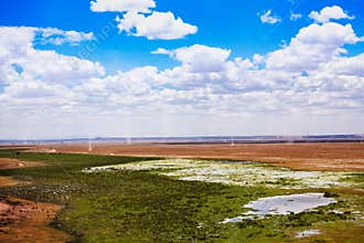 Dust tornados on the plain in Amboseli park, Kenya
