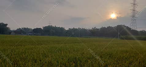 beautifull scenery farm in the warm morning with sunrise