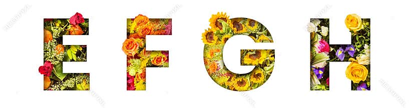 Floral letters. The letters E, F, G, H are made from colorful flower photos. A collection of wonderful flora letters for