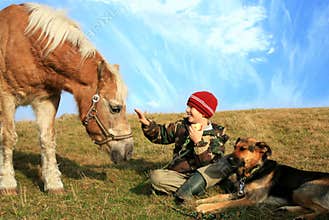 Boy, horse and dogs