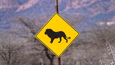 Warning lion, road sign. Namibia, Africa