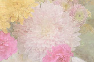 Pastel Flower Background