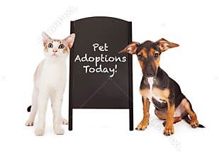 Dog and Cat With Pet Adoption Sign
