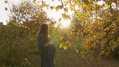 Beautiful pregnant woman having walk in the park